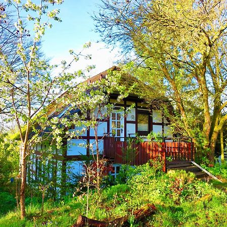 Natururlaub Frankenau Zewnętrze zdjęcie